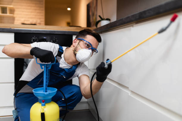 Best Flea Control Services  in Andrews, TX