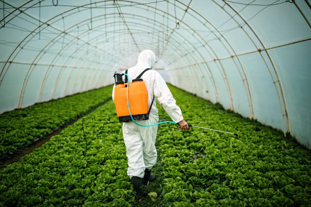 Best Best Pest Control Companies  in Andrews, TX