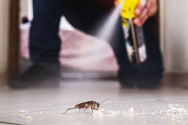 Best Emergency Pest Control  in Andrews, TX