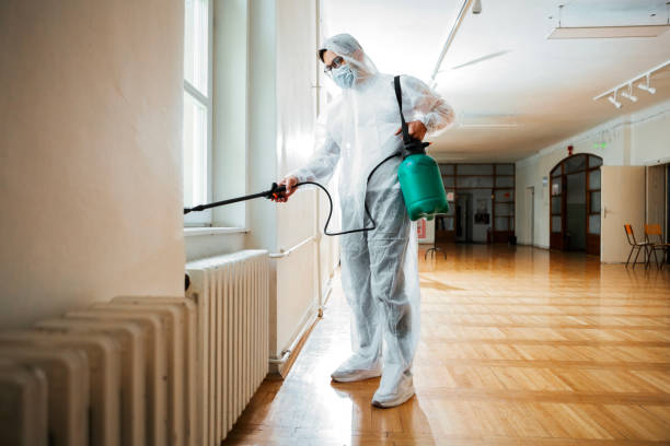 Best Termite Control Services  in Andrews, TX