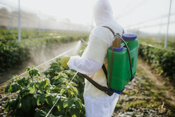 Best Cockroach Control Services  in Andrews, TX